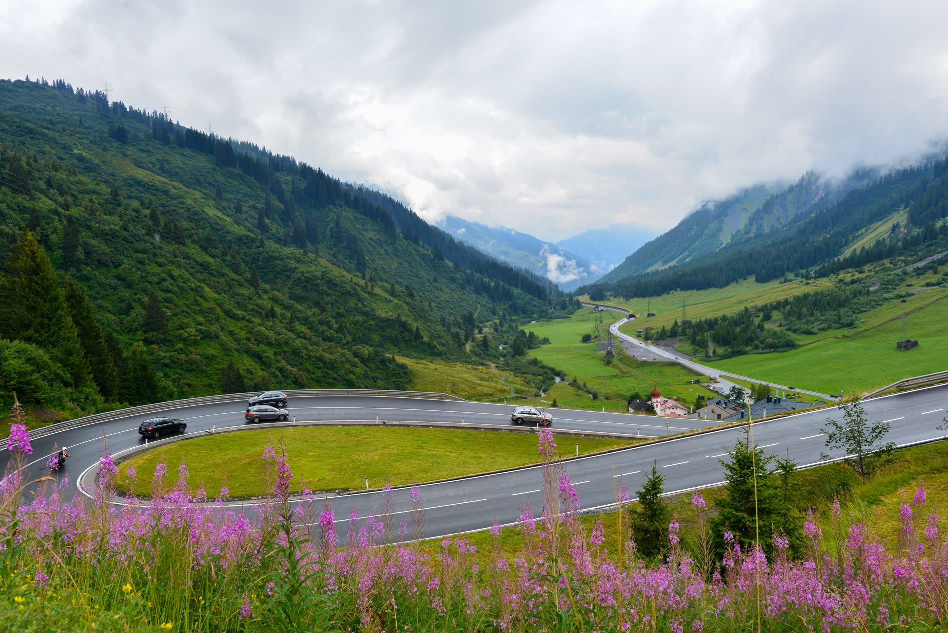 Autos in einer weiten Kehre, im Vordergrund blühende Weidenröschen, dahinter ein Tal mit Wolken